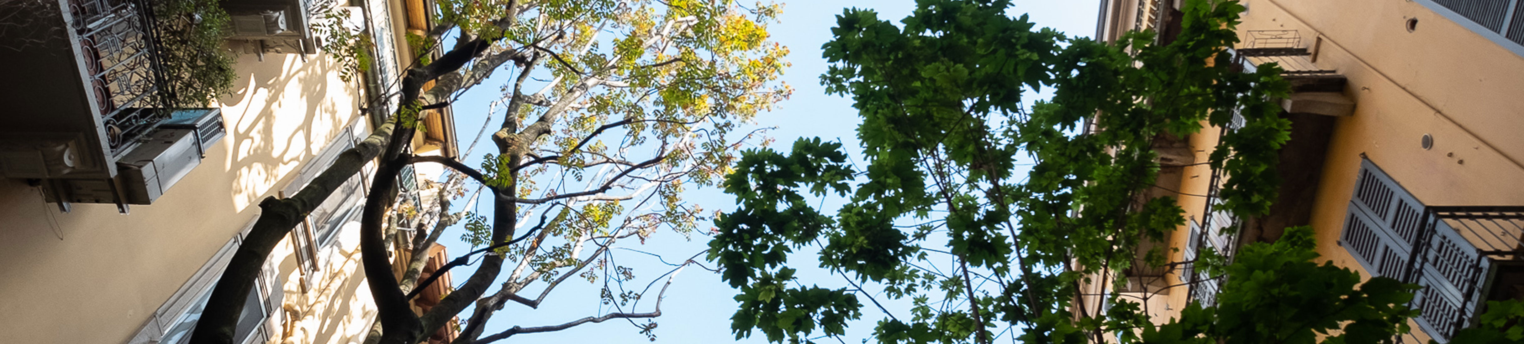 BEPIF Shareholder Resources BEPIF Blackstone European Property